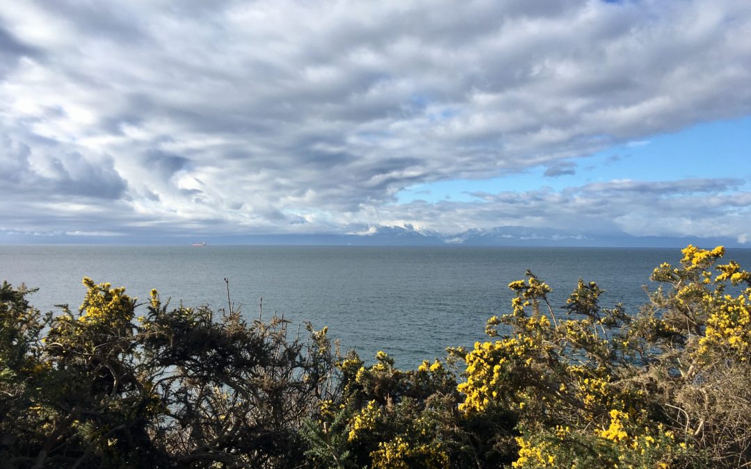 A scenic stroll down Dallas Road