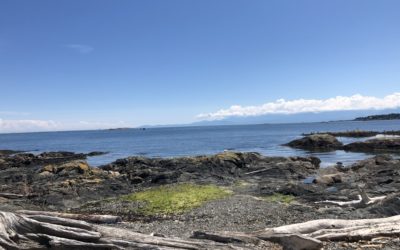 Keeping cool in Cattle Point